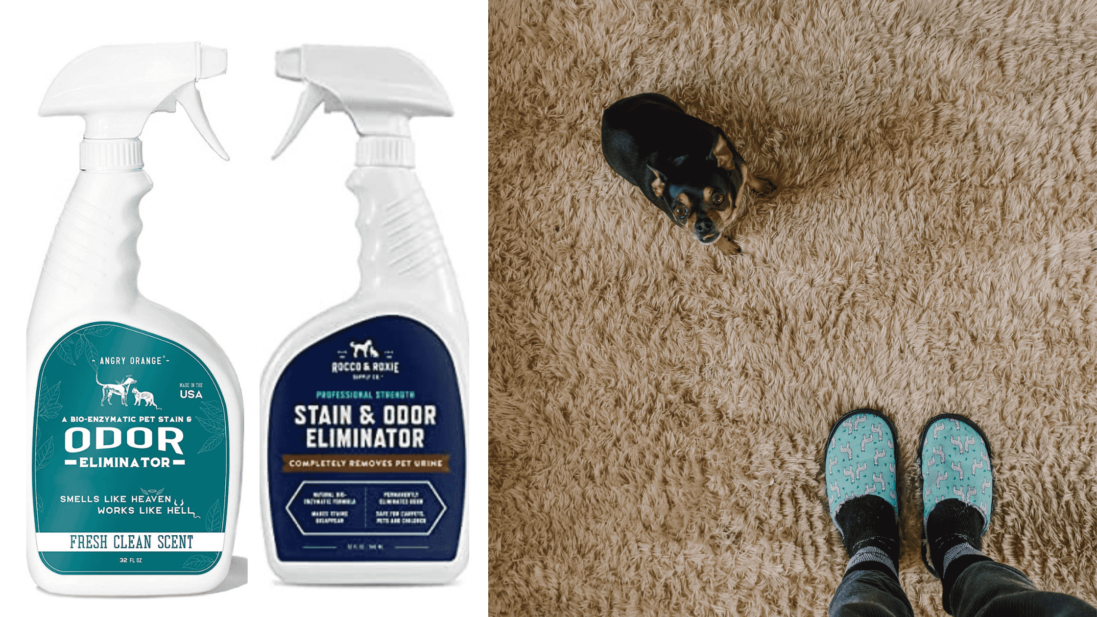 Best Pet Carpet Cleaner Spray