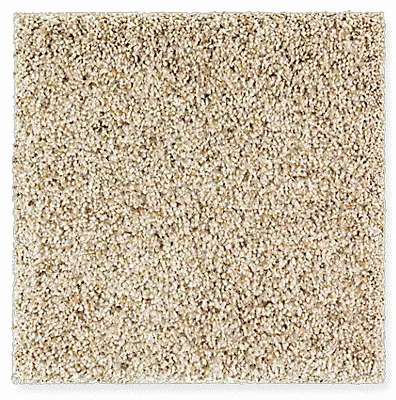 triexta carpet