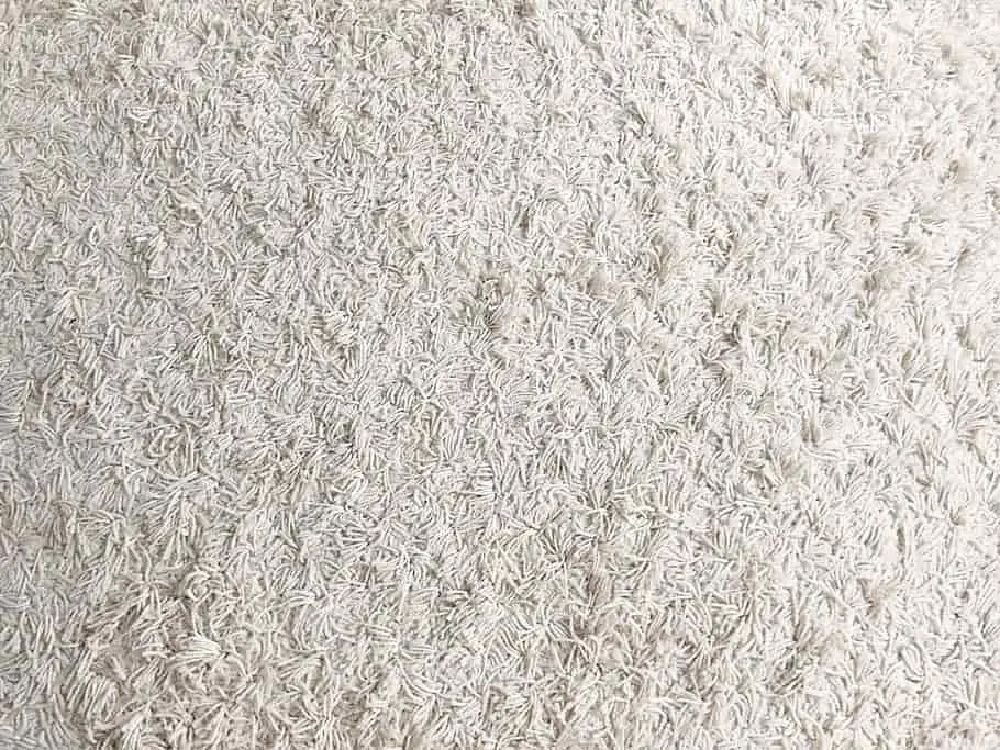 Carpet vs Hardwood Cost