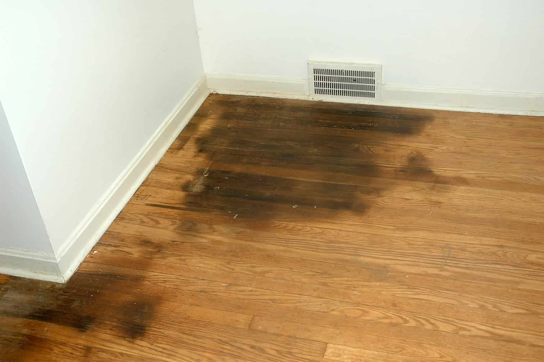 How To Remove Pet Stains From Hardwood Flooring