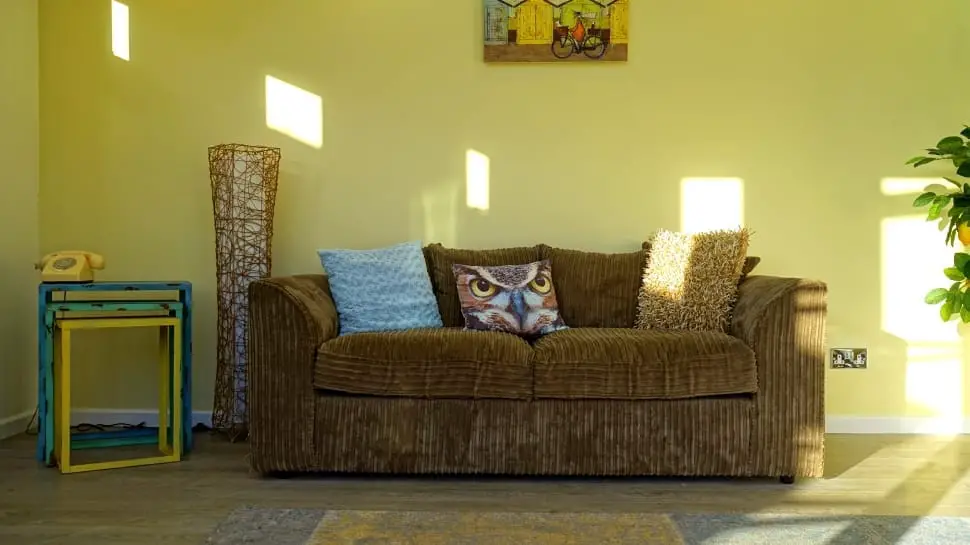 What Carpet Goes With Brown Sofa