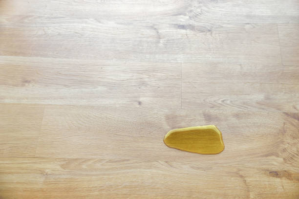 How To Get Cat Urine Out Of Wood Flooring