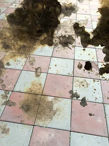 How To Clean Oil Off Tile Floor